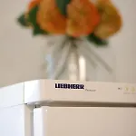 Apartament Bilobolo *